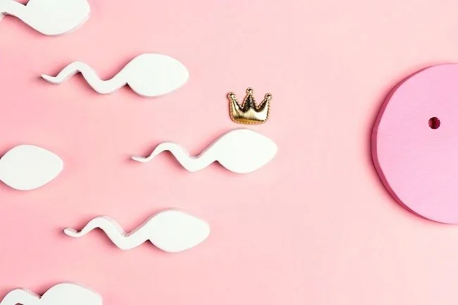 5 Cara Mengetahui Sperma Subur atau Tidak